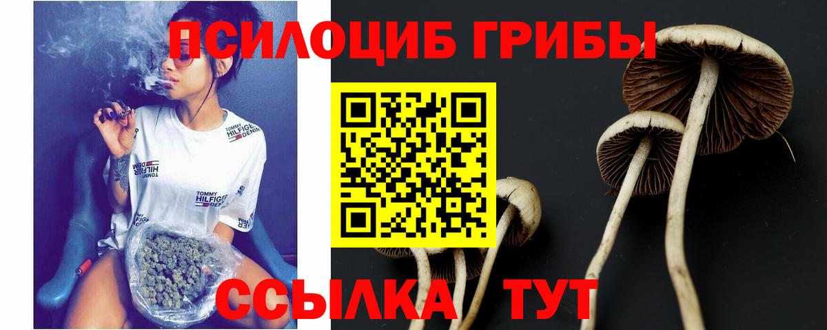 Псилоцибиновые грибы мицелий  Вход с VPN  Чернушка 